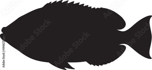 Harlequin Tuskfish Vector Silhouette