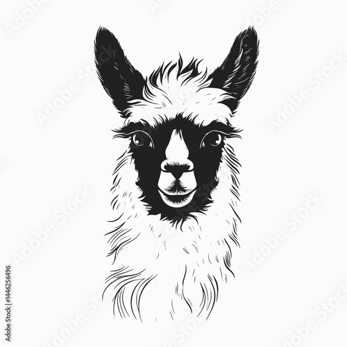 Llama alpaca animal portrait mammal art illustration drawing sketch black white cute face head furry