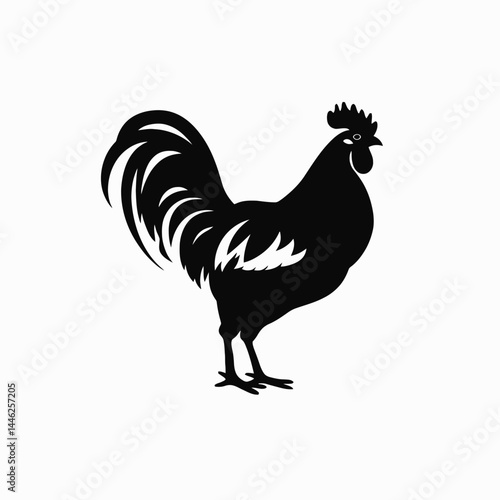 Black rooster silhouette vector illustration chicken farm animal poultry fowl bird cockerel design graphic art