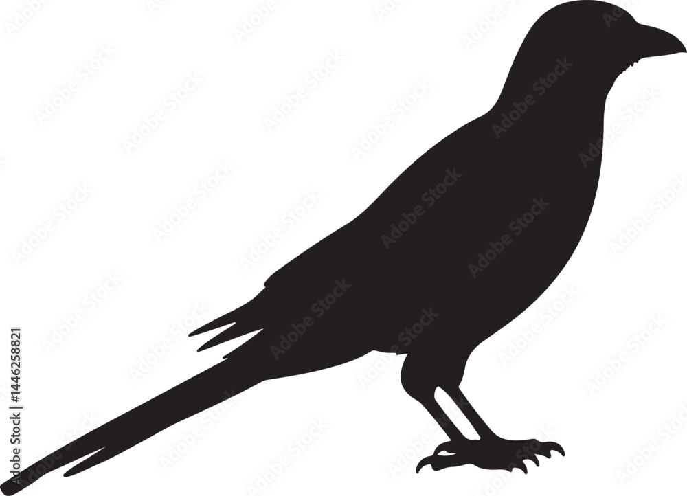 Fototapeta premium Magpie Vector Silhouette