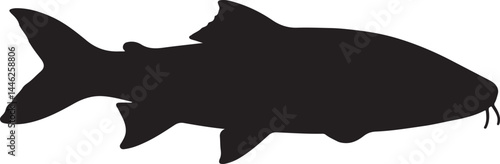 Mahseer Vector Silhouette
