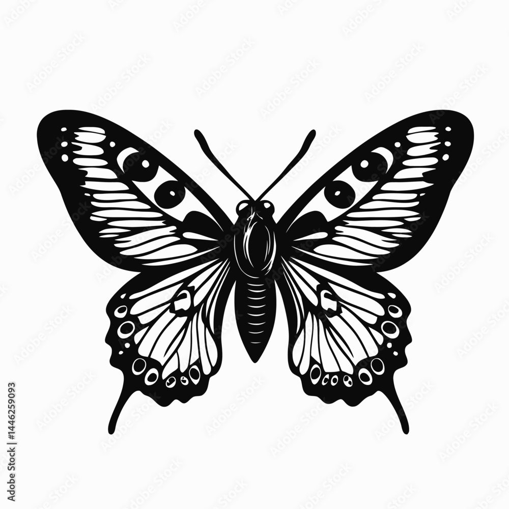 Obraz premium Butterfly silhouette black and white vector illustration insect design graphic art nature animal wings fly drawing