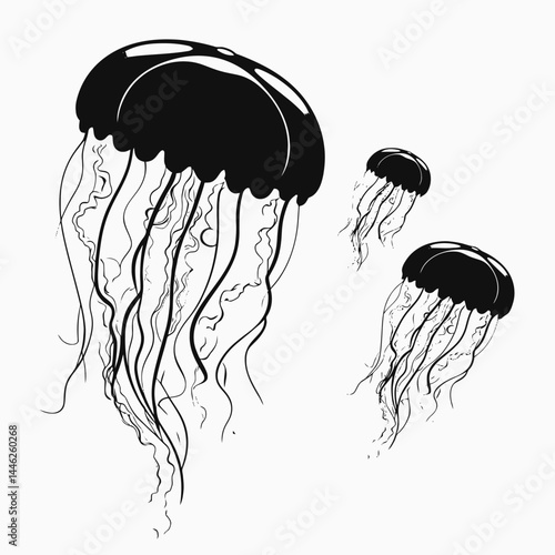 Jellyfish black and white sea ocean underwater marine life aquatic creature illustration drawing art ink sketch silhouette