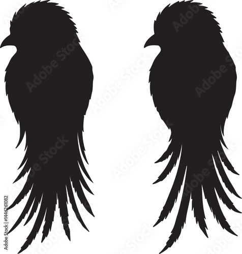 Quetzal Vector Silhouette