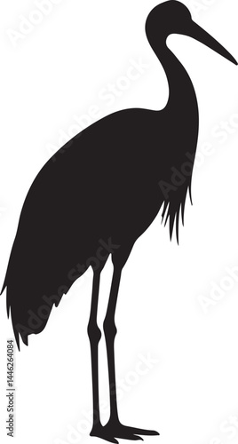 Sarus Crane Vector Silhouette