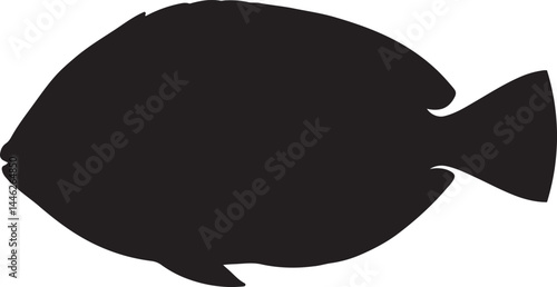 Tang Fish Vector Silhouette