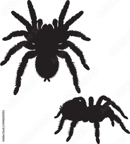 Tarantula Vector Silhouette