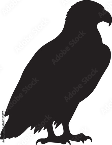 Tawny Eagle Vector Silhouette