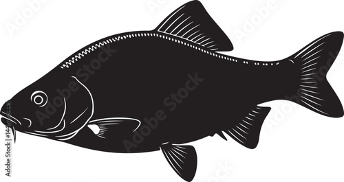 Tench Fish Vector Silhouette