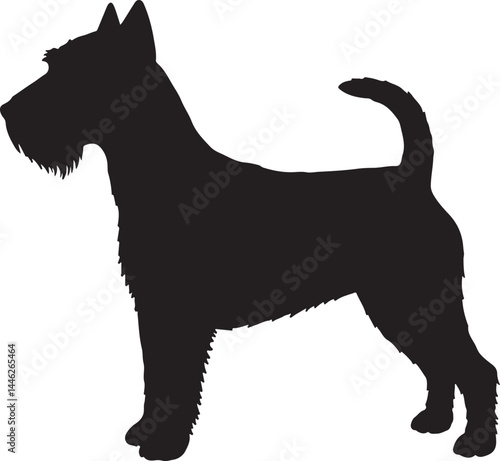 Tenterfield Terrier Vector Silhouette