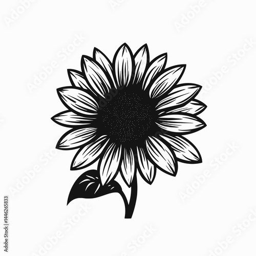 Sunflower flower floral blossom bloom petal plant nature botanical summer spring black and white art silhouette