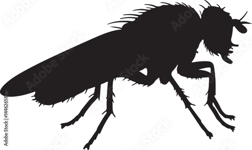 Tsetse Fly Vector Silhouette