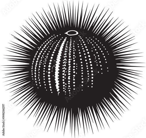 Urchin Vector Silhouette