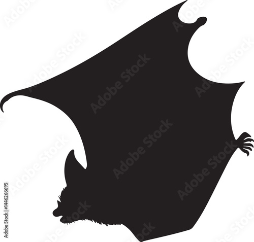 Vampire Bat Vector Silhouette