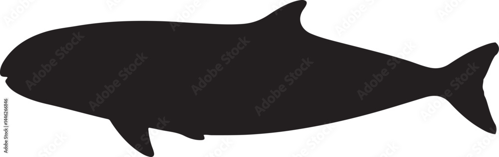 Vaquita Vector Silhouette Vaquita Vector Silhouette