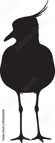 Vanellus Vector Silhouette