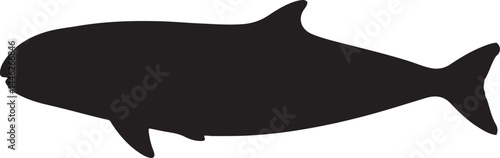 Vaquita Vector Silhouette