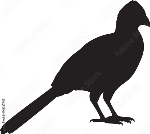 Violet Turaco Vector Silhouette