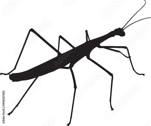 Walking Stick Vector Silhouette