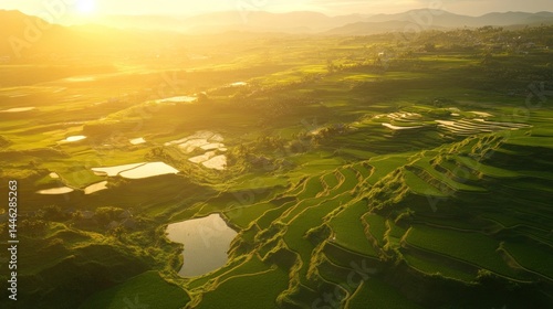 Lush green rice terraces cascade down the mountainside at sunset
