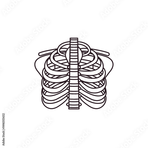 sternum cheast bones vector illustration emoji symbol sign icon flat design