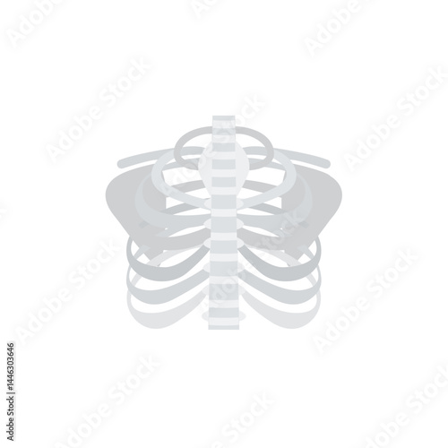 sternum cheast bones vector illustration emoji symbol sign icon flat design