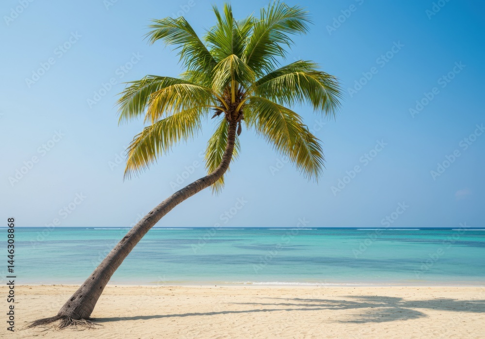 Fototapeta premium Tropical beach vacation palm tree ocean view summer travel paradise