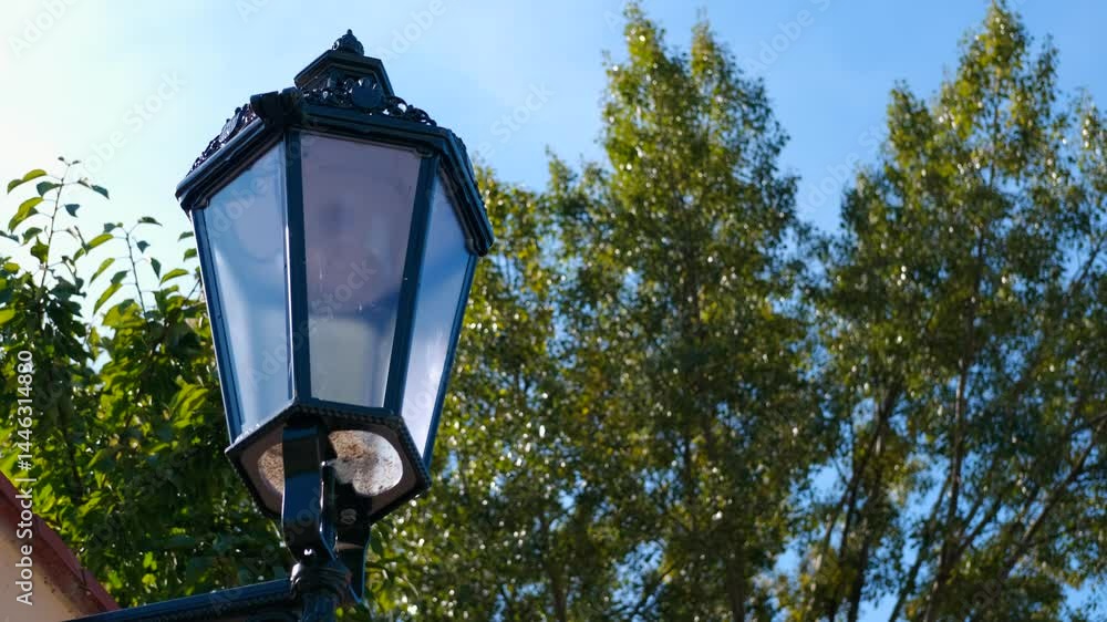 Vintage street lamp against green tree and blue sky. Vintage black streetlight standing elegantly amid lush green trees, harmonizing urban design with natural surroundings under clear blue summer sky