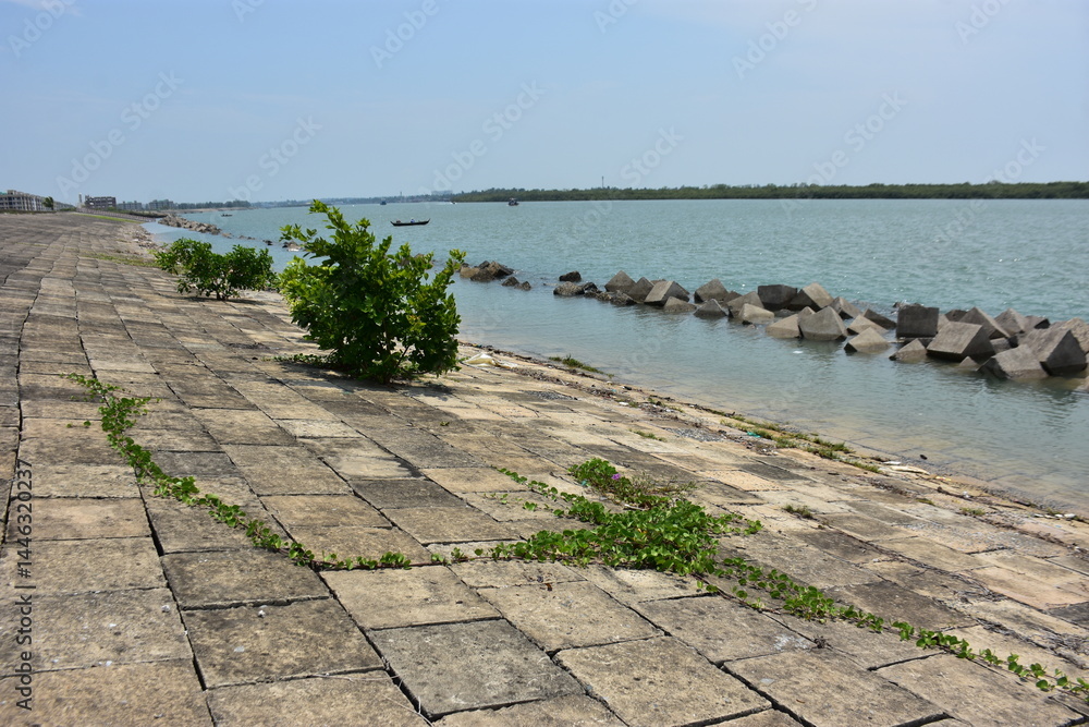 Fototapeta premium Coastal Breakwater Scene at Bakkhali River: Submerged Concrete Barriers with Stone-Paved Foreground and a Lone Green Plant under a Clear Sky in Cox’s Bazar, Bangladesh
