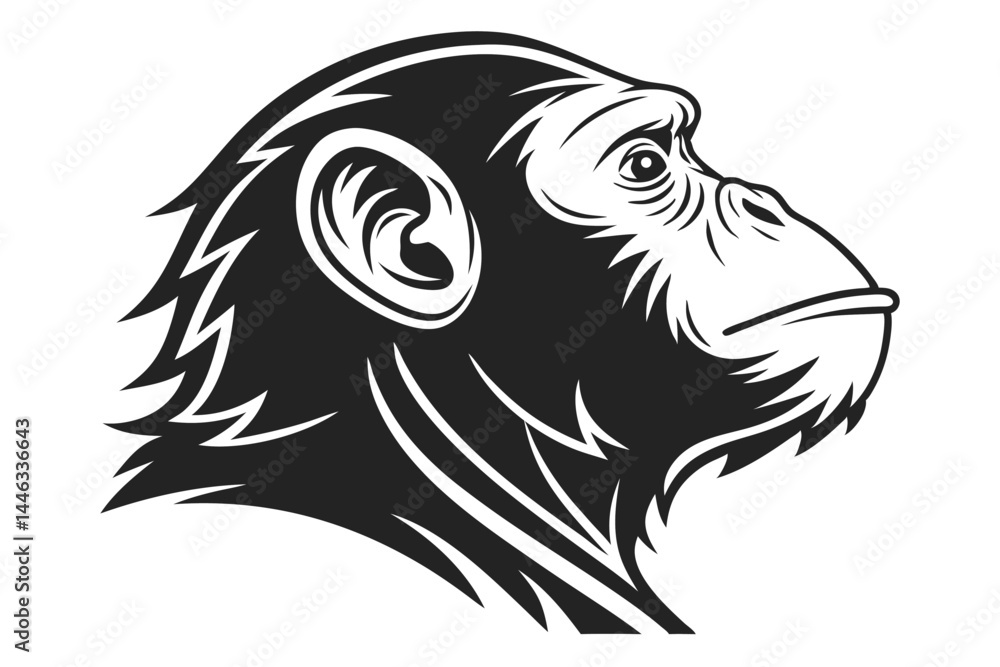 Chimpanzee Face Profile in Black and White, Wildlife Mammal, Animal Portrait Close Up Chimpanzee Face Profile in Black and White, Wildlife Mammal, Animal Portrait Close Up