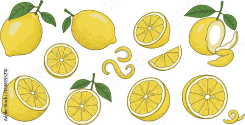 Lemon line icons set vector illustration. Hand drawn outline whole citrus with peel and natural fruit cut into different pieces and circle slices, twists of lemon zest and branch of blossom and leaves