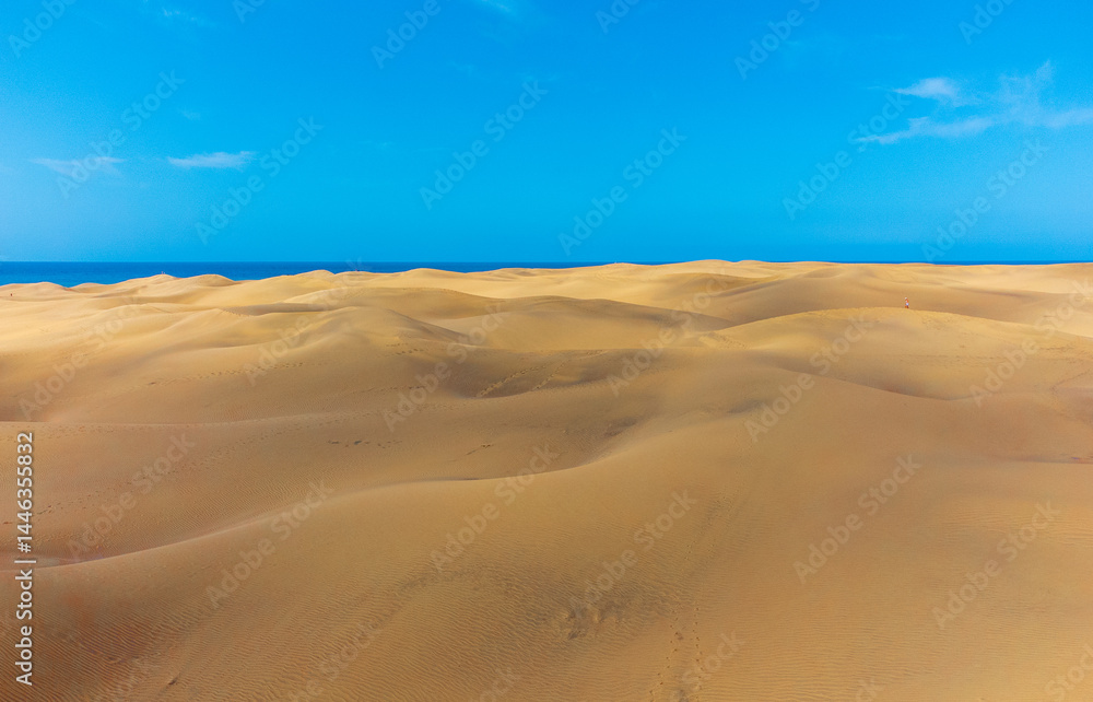 Naklejka premium Dunes of Maspalomas, Grand Canary, on a sunny day