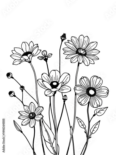 Line Drawing Flowers. Continuous Line Drawing Of Plants Black Sketch of Flowers Isolated on White Background. Botanical Set Abstract Simple Illustration for Minimalist Design. Vector EPS 10.