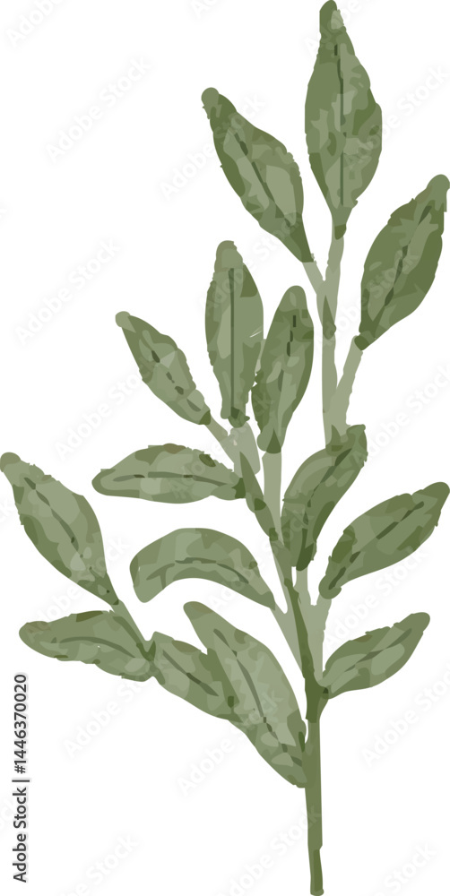 Illustration of Green Leafy Branch Illustration of Green Leafy Branch