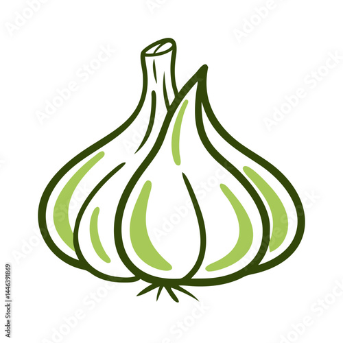 Garlic bulb illustration in green outline style on white background  