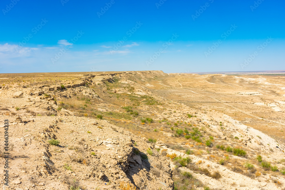 Ustyurt Canyon in the ex Aral Sea, Uzbekistan