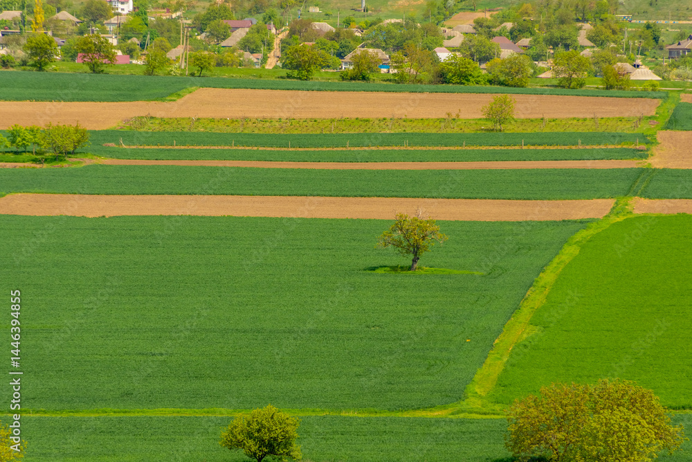 Green and lush countryside of Butuceni, Moldova