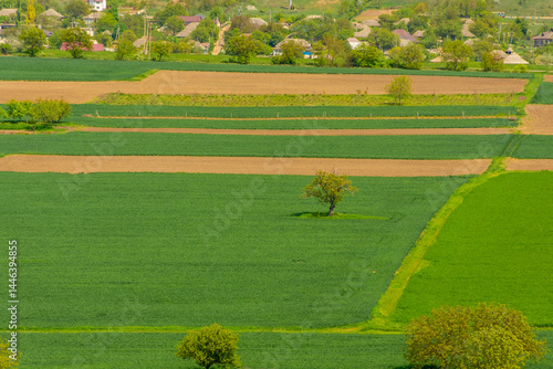 Obraz na płótnie Green and lush countryside of Butuceni, Moldova w salonie