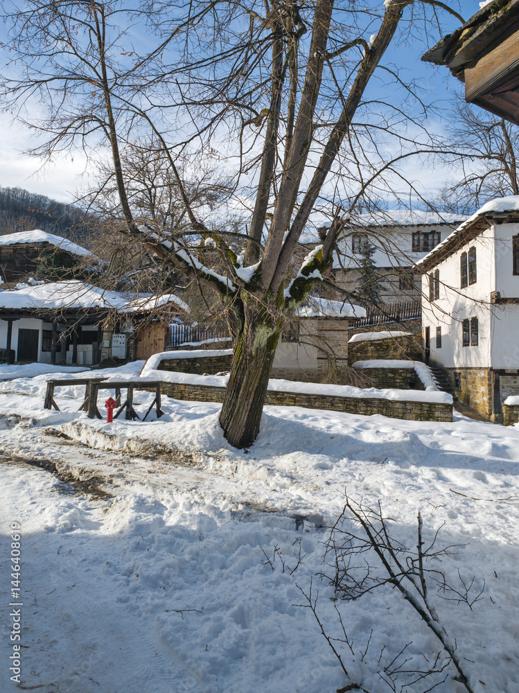 Winter view of village of Bozhentsi, Bulgaria