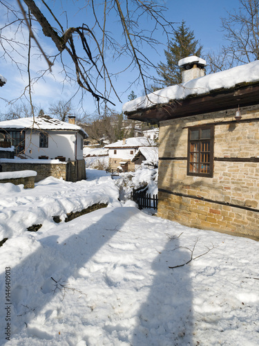 Obraz na płótnie Winter view of village of Bozhentsi, Bulgaria w salonie