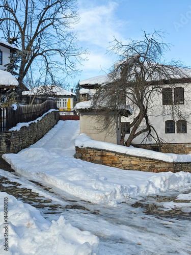 Obraz na płótnie Winter view of village of Bozhentsi, Bulgaria w salonie