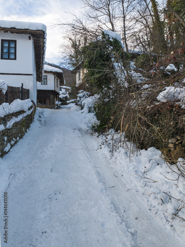 Obraz na płótnie Winter view of village of Bozhentsi, Bulgaria w salonie