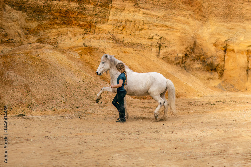 A young woman and her white icelandic horse gelding interacting in a sand pit; horsemanship concept