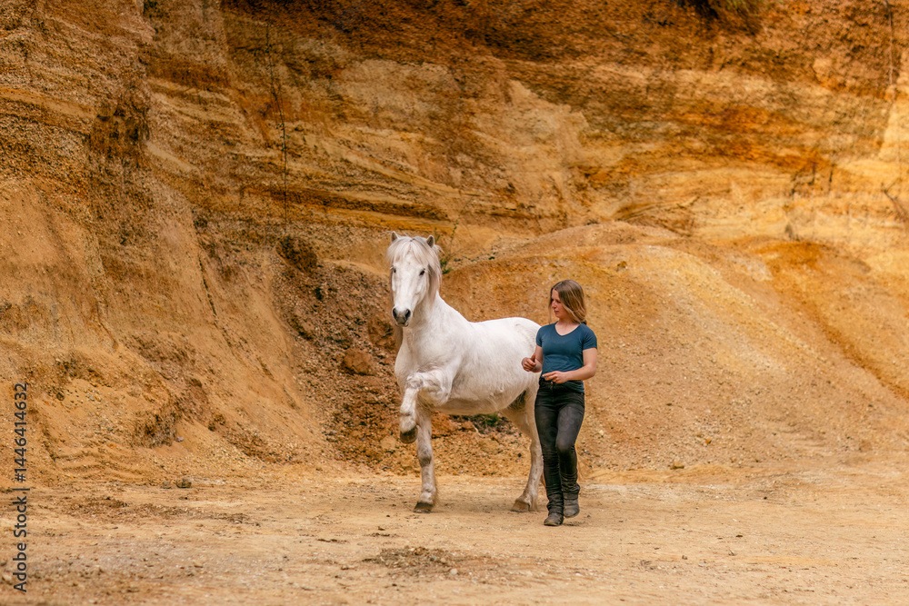 A young woman and her white icelandic horse gelding interacting in a sand pit; horsemanship concept