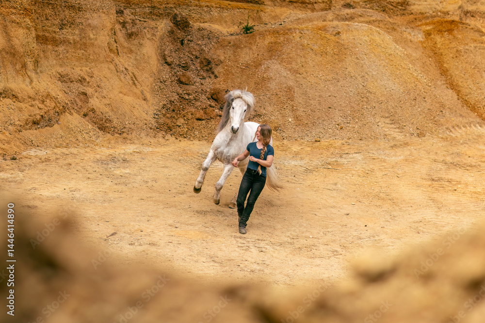 A young woman and her white icelandic horse gelding interacting in a sand pit; horsemanship concept