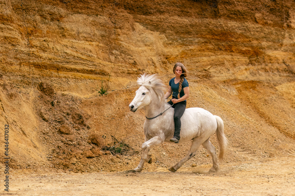 A young woman and her white icelandic horse gelding interacting in a sand pit; horsemanship concept