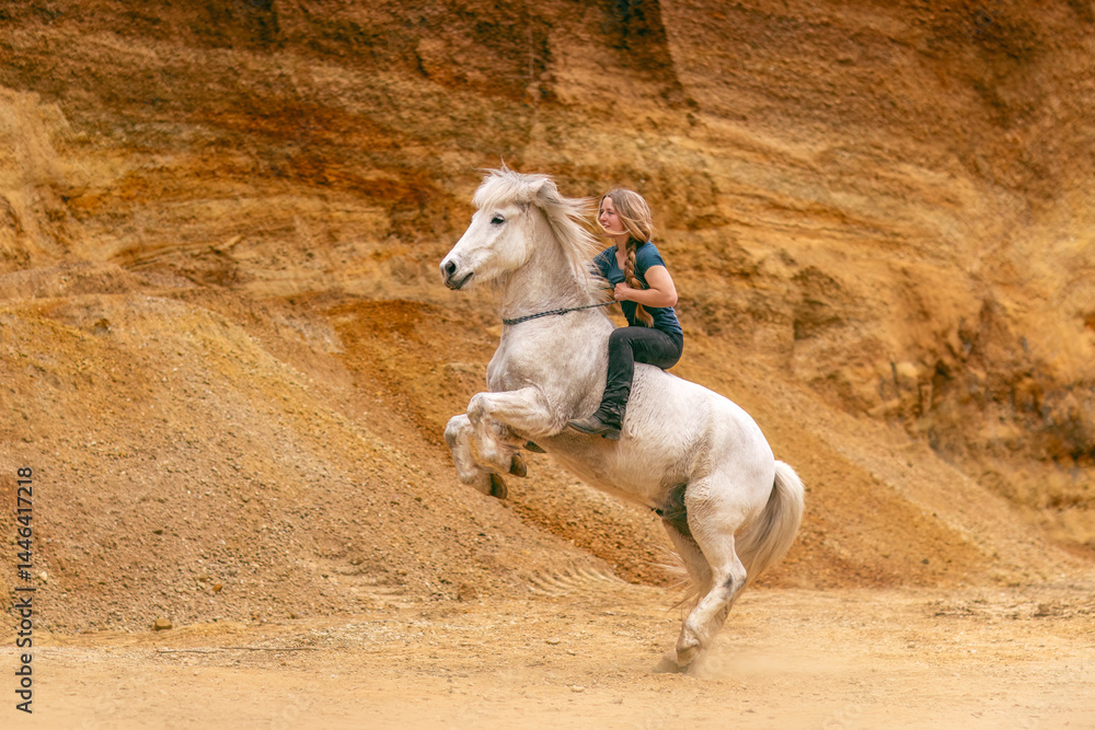 A young woman and her white icelandic horse gelding interacting in a sand pit; horsemanship concept