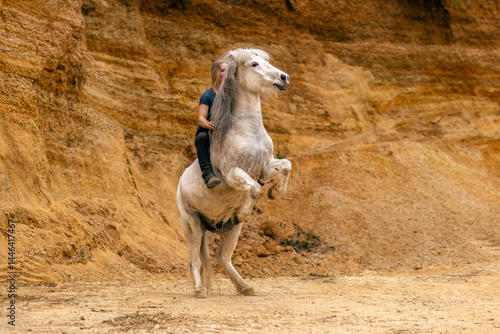 Obraz na płótnie A young woman and her white icelandic horse gelding interacting in a sand pit; horsemanship concept w salonie