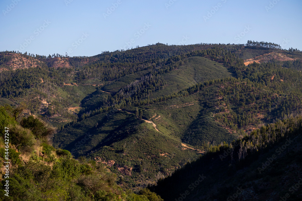 Obraz premium mountain area of Monchique
