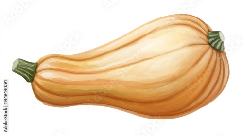 Obraz na płótnie Watercolor butternut squash illustration showcasing smooth gradients and detail w salonie
